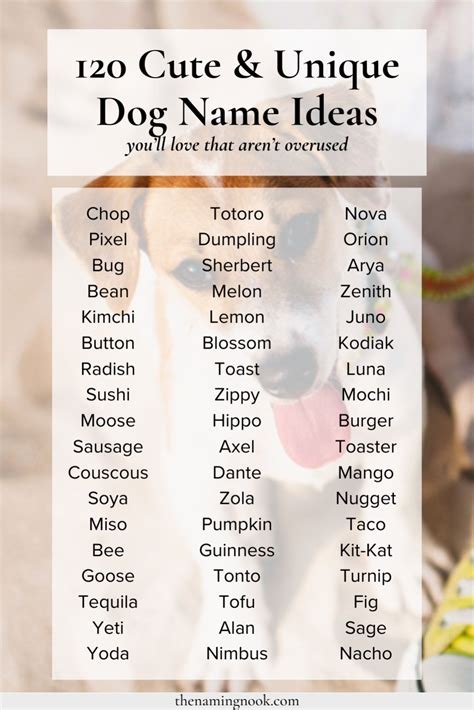 Cute Unique Dogs