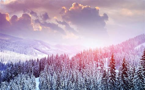 Cute Winter Wallpapers Computer