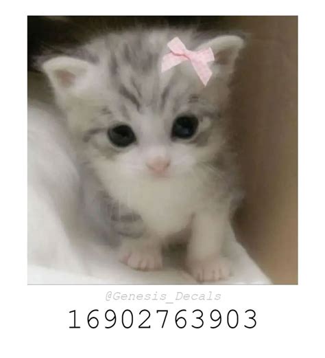 Cute-Cat-Picture - Roblox