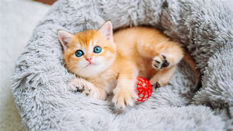 Cutest Pics Ever