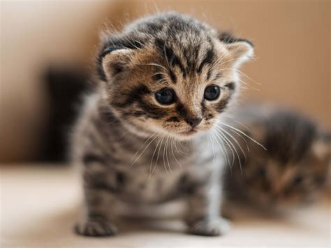 Cutest Pictures Ever