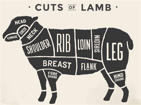 Cuts Of Lamb Chart