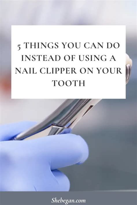 Amazon.com : Nail Clippers, Cuticle Clipper, Medical Grade Stainless