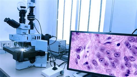 Cutting-Edge Technology for Clearer Diagnostics