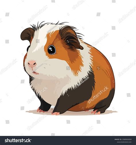 Cuy En Animado