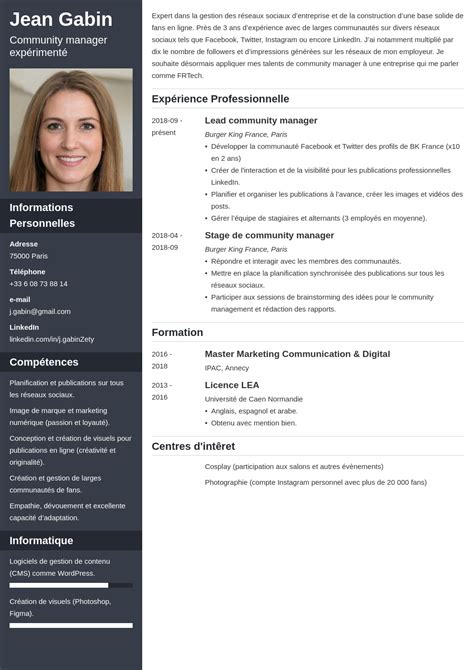 Cv En Francais Modele