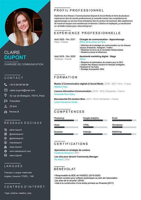 Cv Professionnel Design