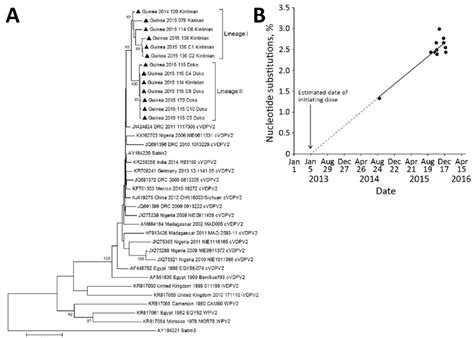 Cvdpv2 in Data Management