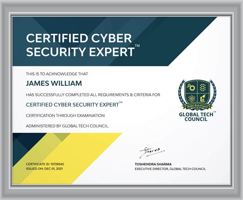 Cybersecurity certificate computer program for professional person
