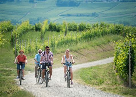 Cycling through vineyards