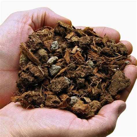 Cymbidium Bark Mix