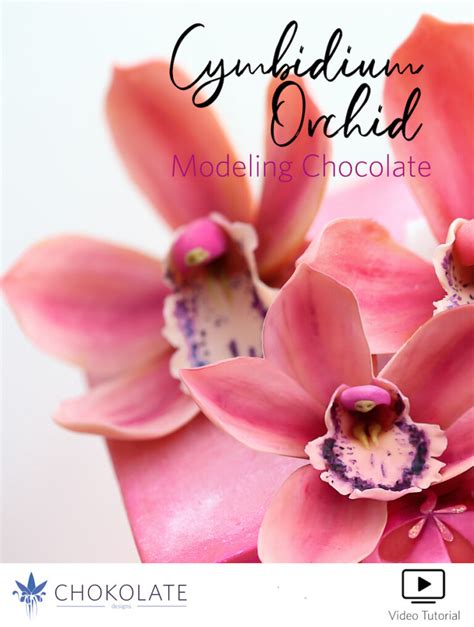 Cymbidium Orchid Tutorial