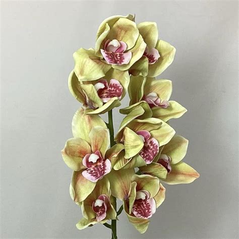 Cymbidium Spray