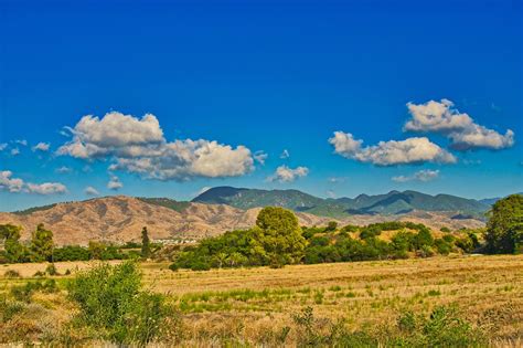 Real Cyprus Tour: Private Mini Bus Excursion with Local Guide Review