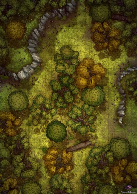 Dd Forest Encounter Map Maps Location Catalog Online