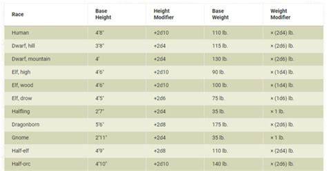 D D Size Chart