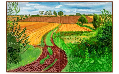 D H Landscapes