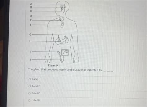 Rifle D Label Index Html - Label Index ㋡ For Sale