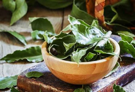 Daun Salam dalam Masakan