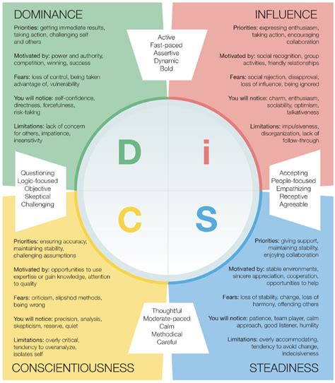 DISC Assessment Example Questions