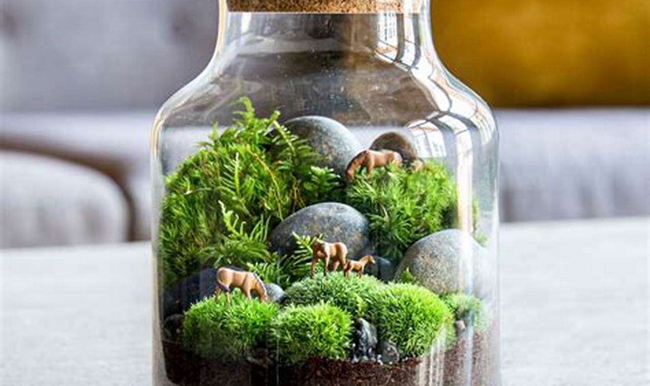 DIY terrarium kits for plant lovers