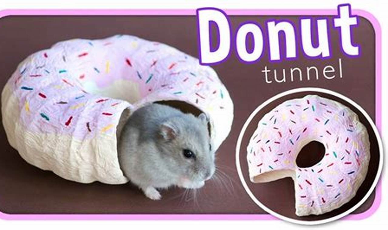 DIY tunnels for pet hamsters