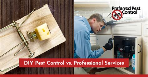 DIY Deterrents vs. Professional Pest Control