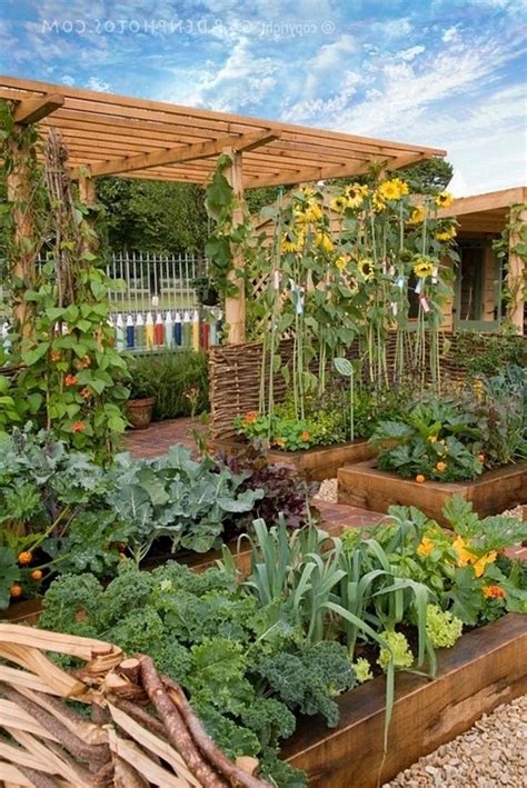 DIY Home Garden