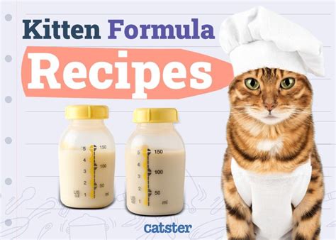 DIY Kitten Formula Recipes: A Step-by-Step Guide