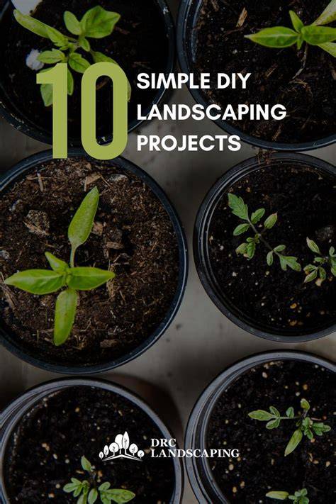 DIY Landscape Fundamentals