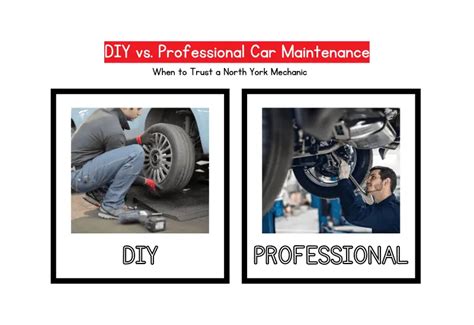 DIY Maintenance vs. Professional Service for Cheapauto Owners