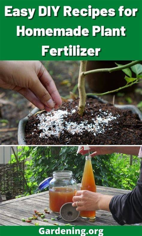 DIY Nitrogen Fertilizer Recipes