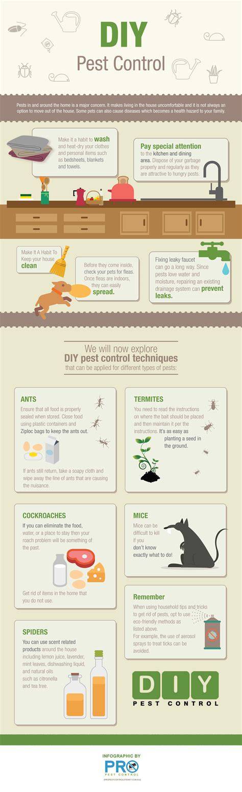 DIY Pest Control Methods