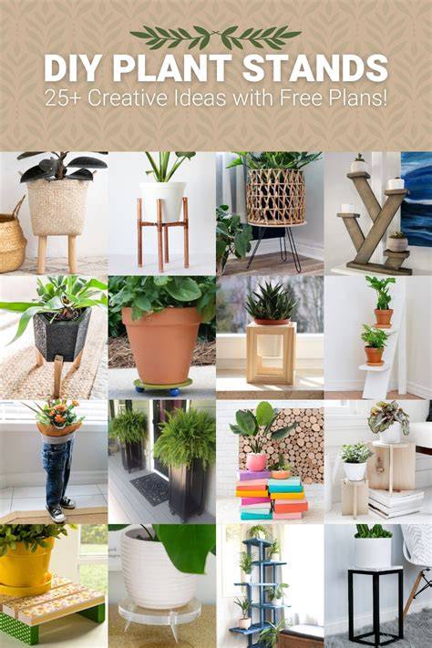 DIY plant stands creative tips