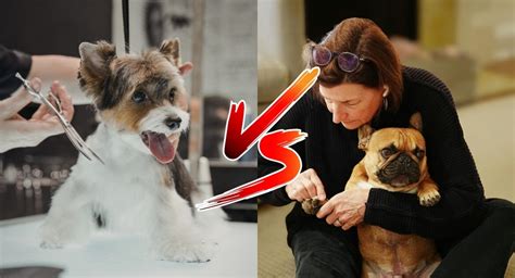 DIY vs Professional Grooming Making the Choice