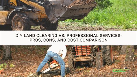 DIY vs. Professional Services