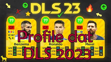 DLS Profile Data Video