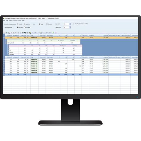 DMSI ERP