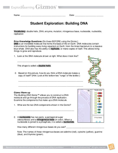th?q=DNA%20replication%20Gizmo%20answer%20key - Understanding Dna Replication Gizmo Answer Key In 2023