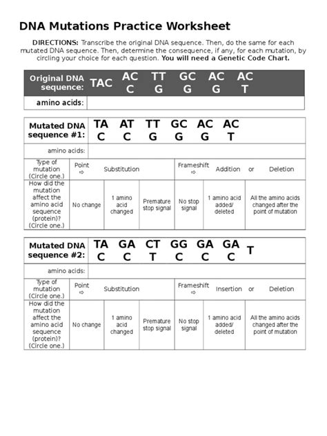 DNA Mutations Practice Worksheet