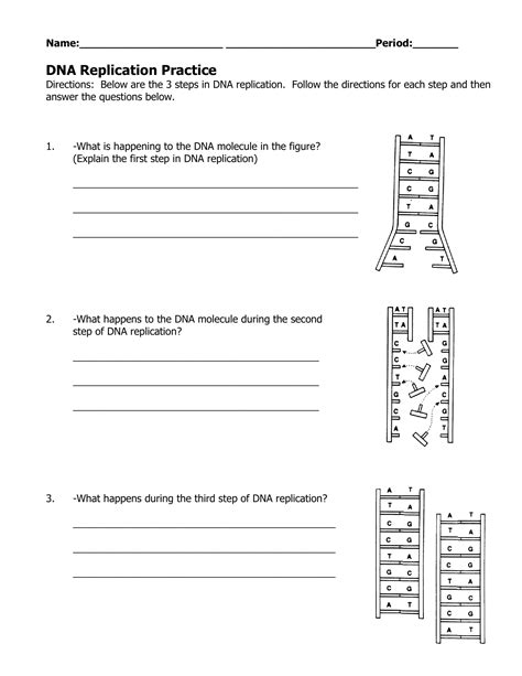 Dna Replication Practice Worksheet Answer Key