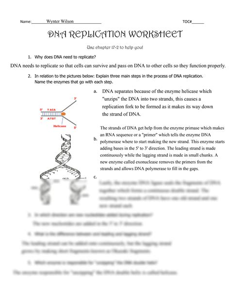 DNA Replication Worksheet GP13