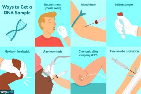 DNA Sample Collection