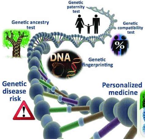 DNA Testing: Types, Benefits & What It Reveals.