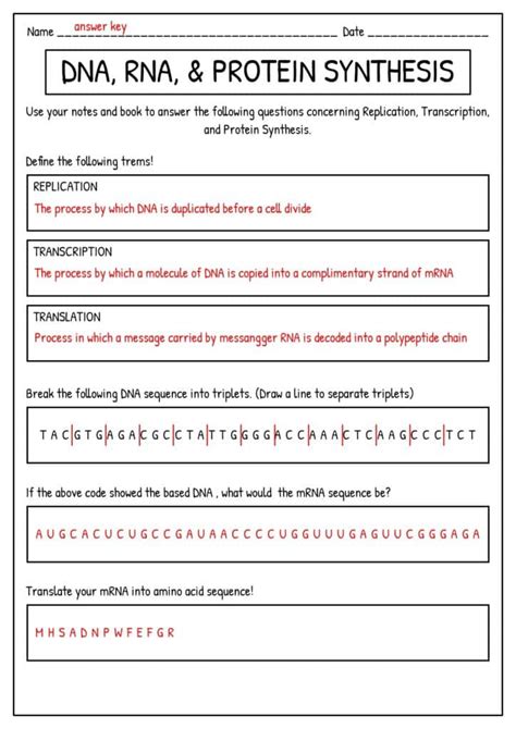 DNA and Protein Synthesis Worksheet Answers