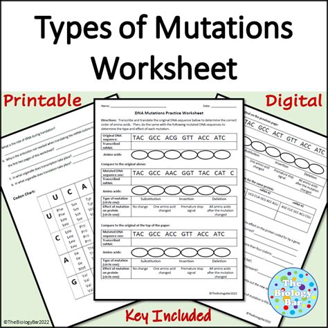 Dna Mutation Practice Problems: A Comprehensive Guide