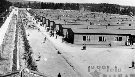 Dachau Concentration Camp Reflection
