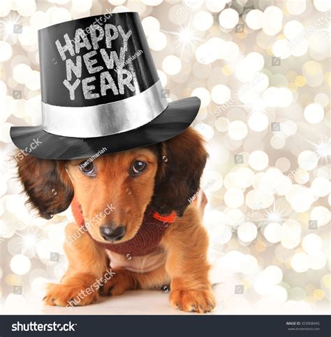 Dachshund Happy New Year Pictures: Celebrate The New Year With Your
Furry Friend