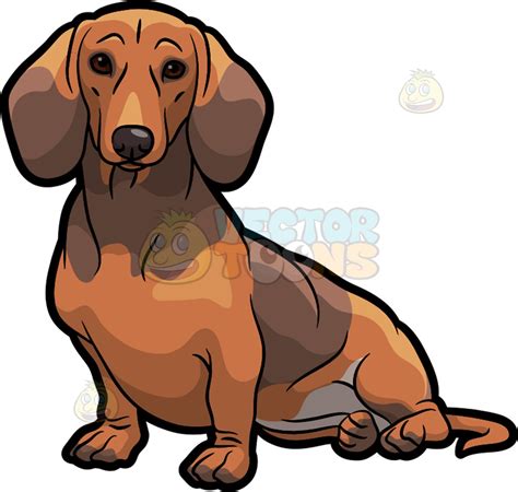Dachshund Sitting Clipart: The Perfect Addition To Your Dog-Themed
Designs