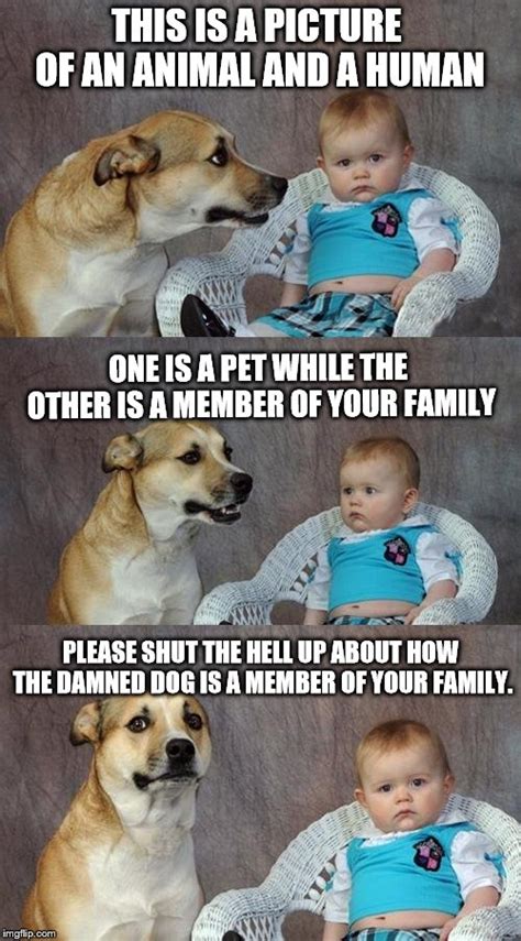 Dad Joke Dog Meme